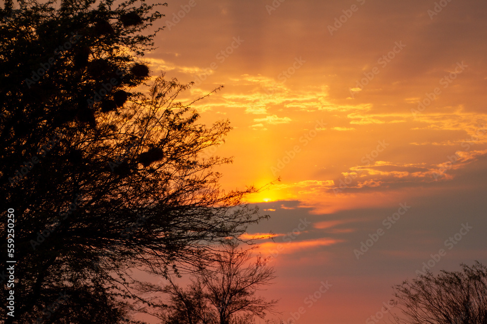 Sunrise rays in Namibia