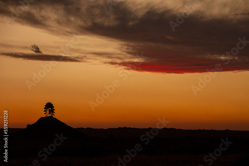 Namibian windmill at sunset 