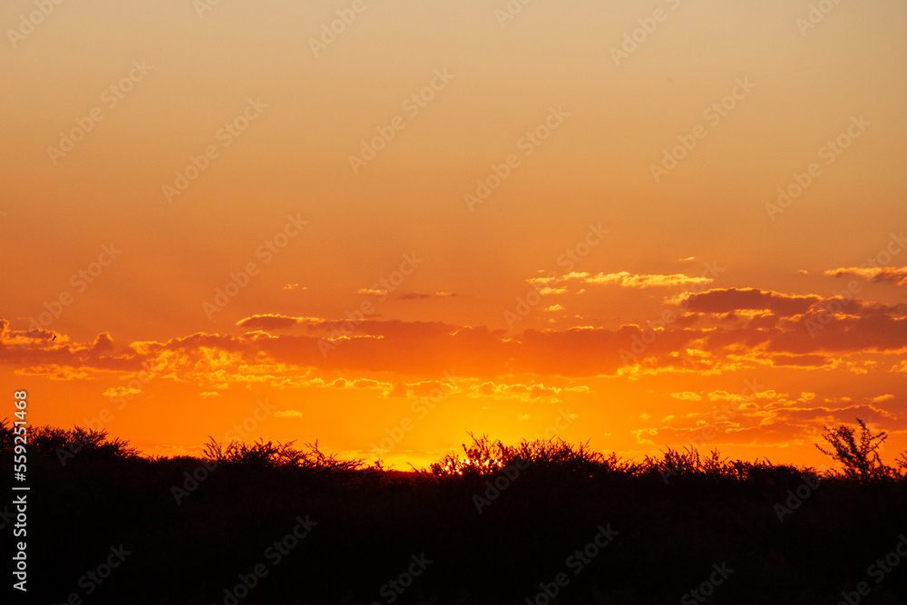 Fototapeta premium Sunrise in Namibia