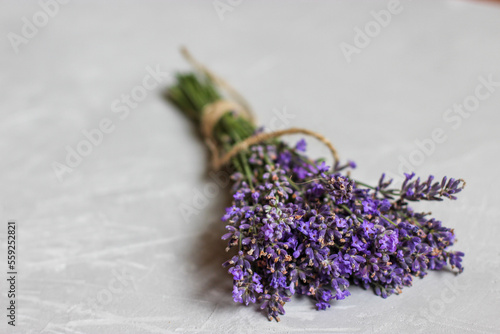 Close-up view of bunch of purple blue lavender isolated on a white background