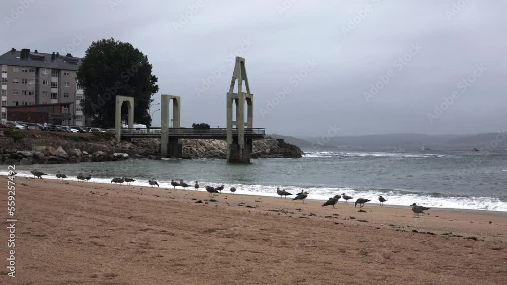 Sandy beach with golden sand in the fog. A large number of seagulls on the shore. Sandy beach with golden sand in the fog. A large number of seagulls on the shore.