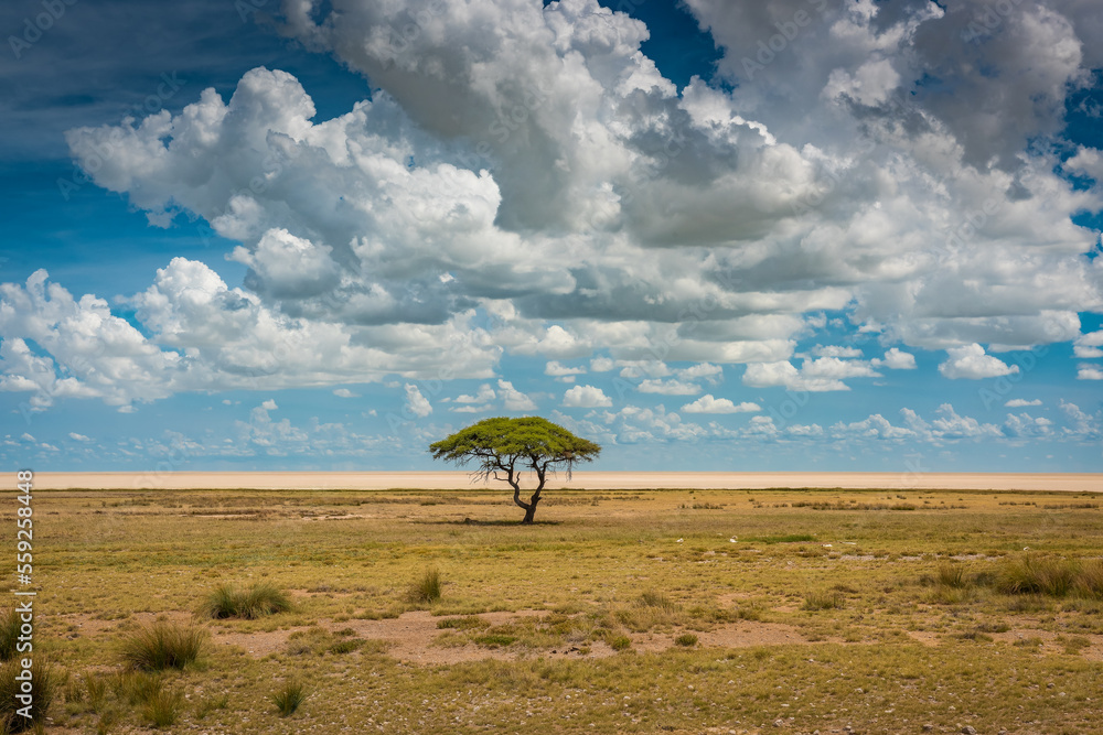 custom made wallpaper toronto digitallandscape with clouds and trees