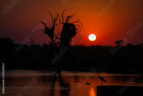 Wallpaper Mural sunset on the lake Torontodigital.ca