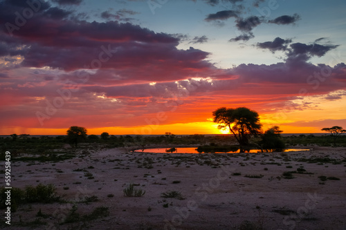 Wallpaper Mural Sunset overlooking Etosha Torontodigital.ca