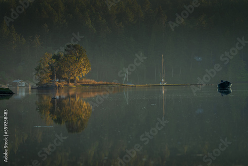 Wallpaper Mural reflection of trees in the lake Torontodigital.ca