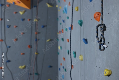 Climbing rope and colorful wall with holds in gym, space for text