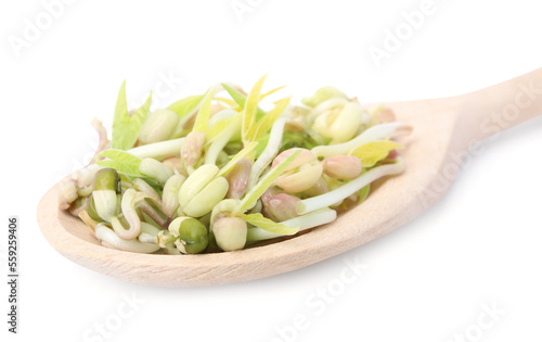 Wallpaper Mural Mung bean sprouts in wooden spoon isolated on white Torontodigital.ca