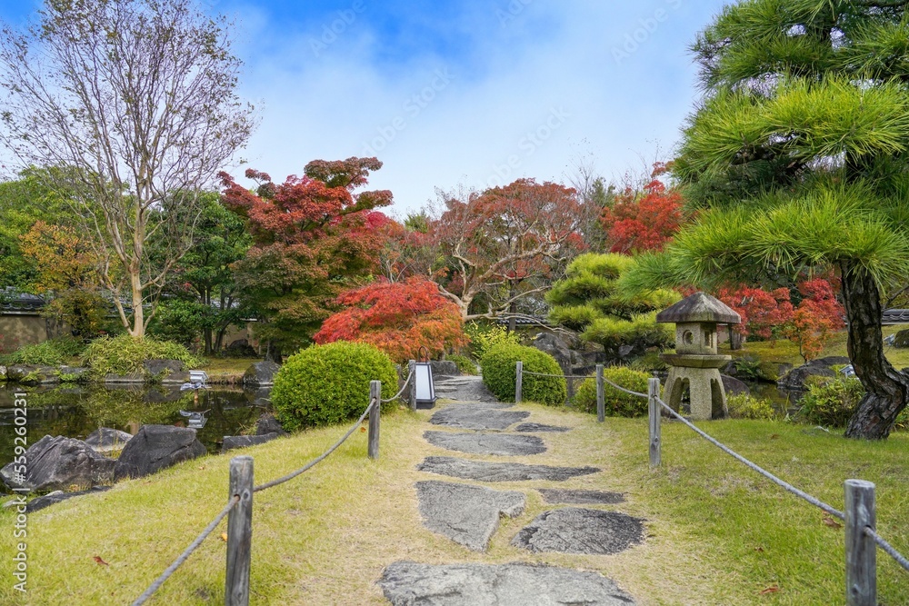 Obraz premium 青空バックに見るカラフルな紅葉に包まれた日本庭園の情景＠兵庫