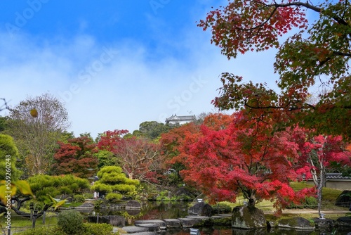 ちょうど見頃のカラフルな紅葉とお城のコラボ情景＠兵庫