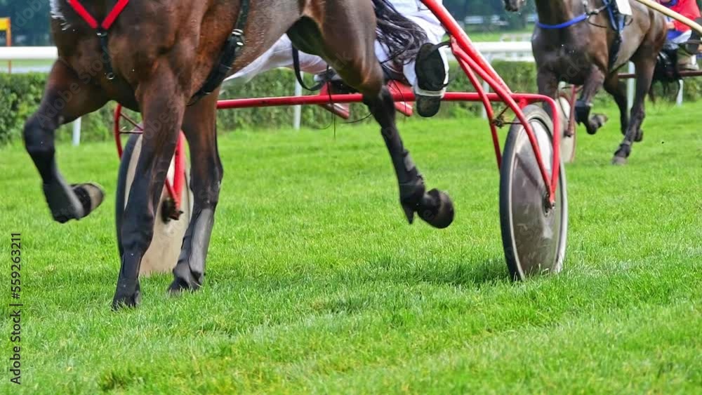 Horses with chariots during a race on the grass track of the hippodrome. Sulky recorded in slow motion Horses with chariots during a race on the grass track of the hippodrome. Sulky recorded in slow motion