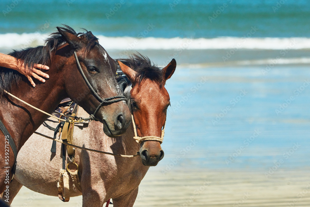 Cabalgata en playa Cabalgata en playa