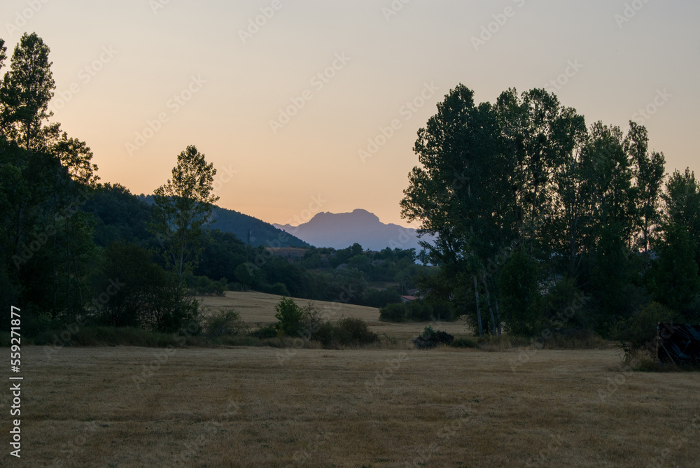 Montaña entre los árboles al atardecer de verano Montaña entre los árboles al atardecer de verano
