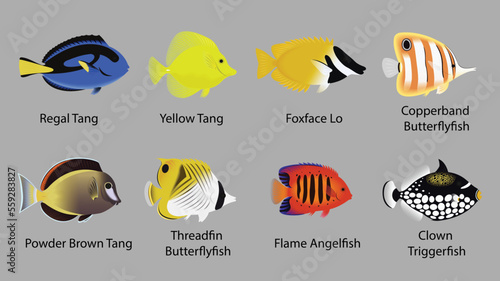 Marine Fish 1