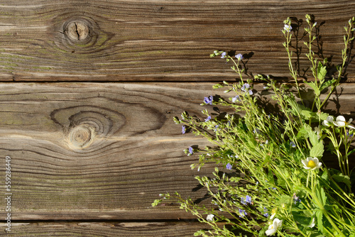 Bunch of field plants and herbs on a wooden table outdoors, top view