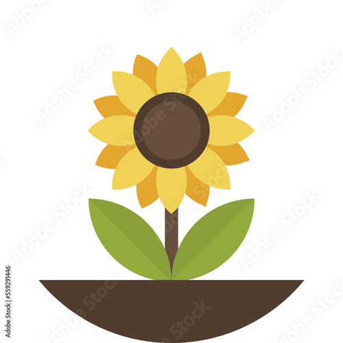 sunflower illustration in minimal style