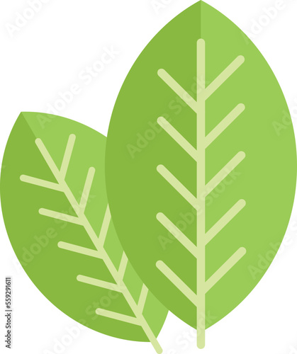 Nature leaf icon flat vector. Save water. Power eco isolated