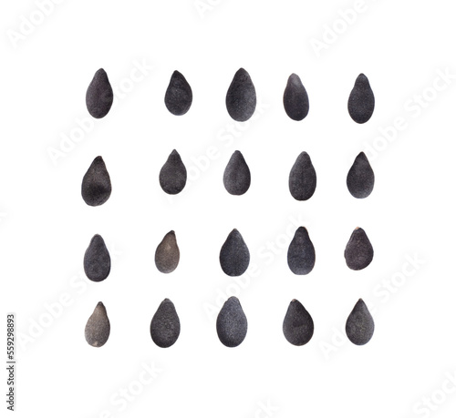 black sesame isolated on transparent png