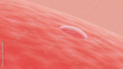 3D rendering animation, close up Drops of oil on skin and absorbed into skin to nourish and repair skin, Computer graphic design for use in skin cream advertisements, beauty skin concept
