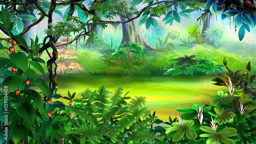 Rainforest plants illustration