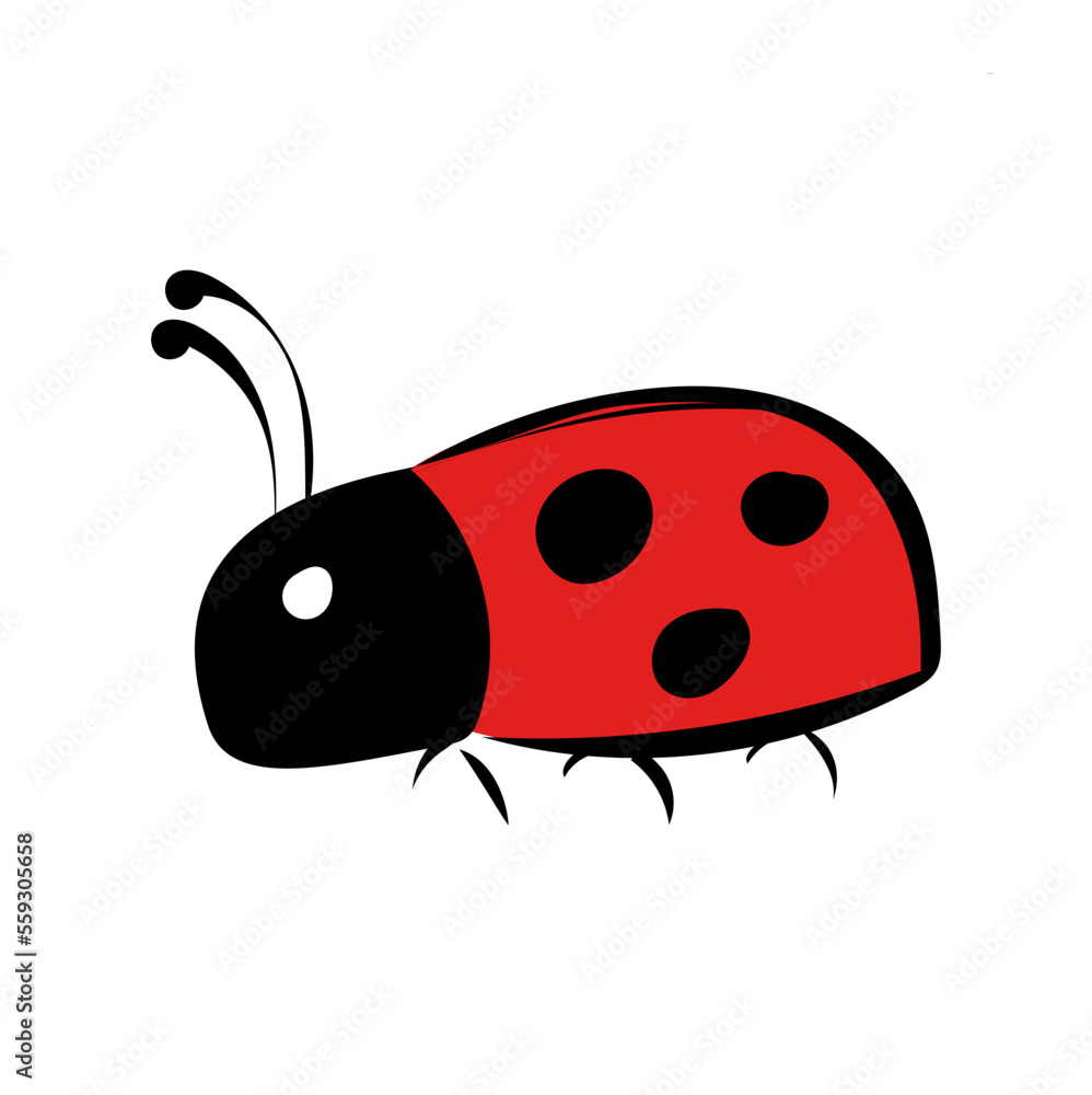 Obraz premium Marienkäfer