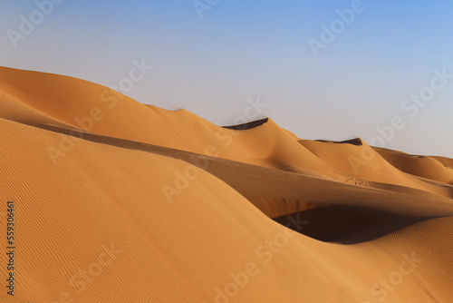 Fototapeta Naklejka Na Ścianę i Meble -  The Wahiba Sands of Oman.