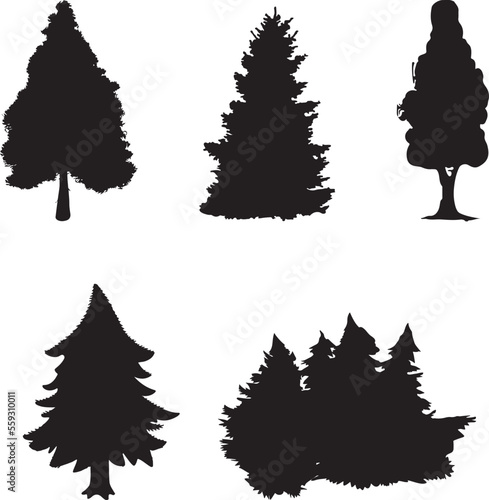 Tree silhouette