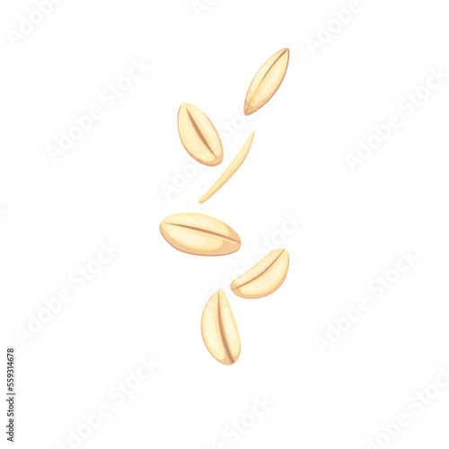 oatmeal grain seed cartoon. cereal food, oat white, plant healthy, ingredient organic, crop agriculture, dry oatmeal grain seed vector illustration