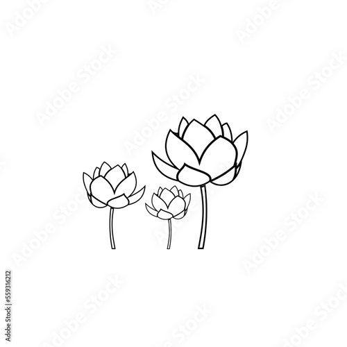 a simple and elegant black and white lotus flower  suitable for use in all fields  especially those related to the plant world