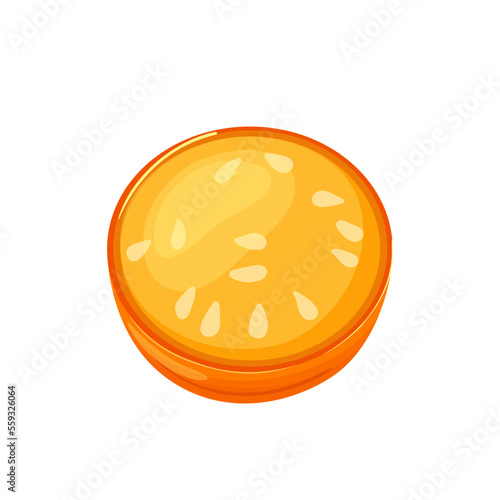 physalis berry cut cartoon. fruit food, healthy diet, nature plant, natural organic, sweet tasty, dessert exotic, raw golden physalis berry vector illustration