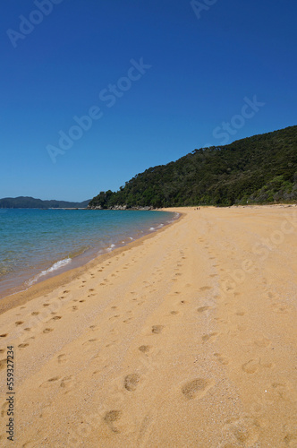 View of a golden sand beach with blue sky and ocean water, and native bush-covered mountains in the background.