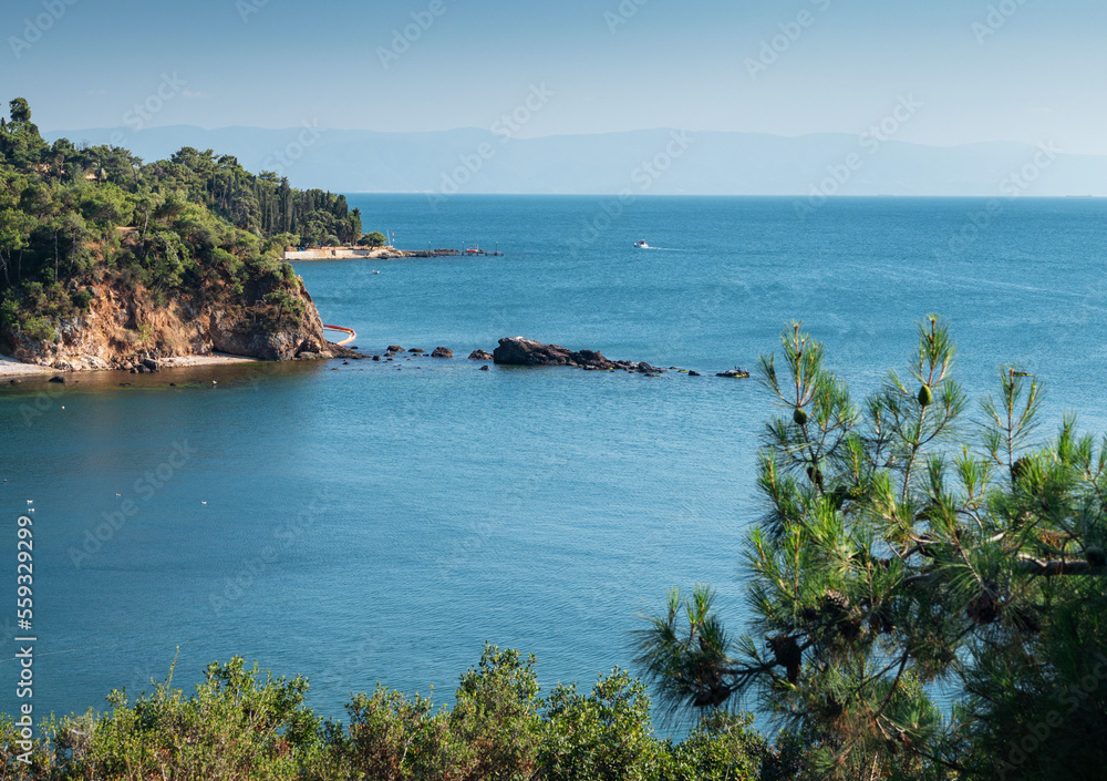 Beautiful panoramic view of the Black Sea with  islands in the background. Rocky coast with trees and pines on a sunny summer day.