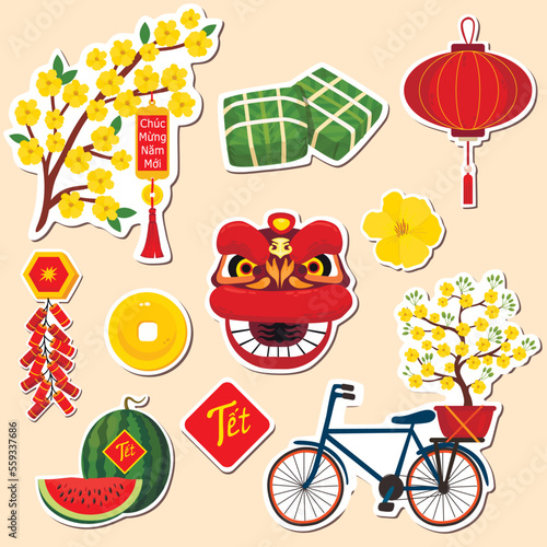 Set of stickers for celebrating Lunar Chinese New Year. Tết-Vietnamese New Year, Vietnamese Lunar New Year or Tet Holiday.	