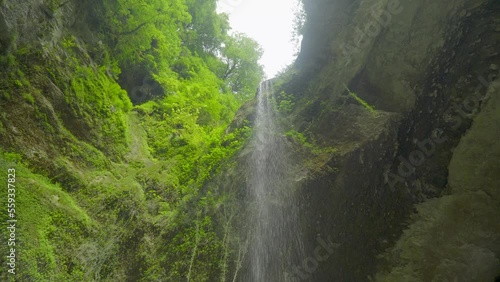 waterfall falls view from below around green trees and bushes