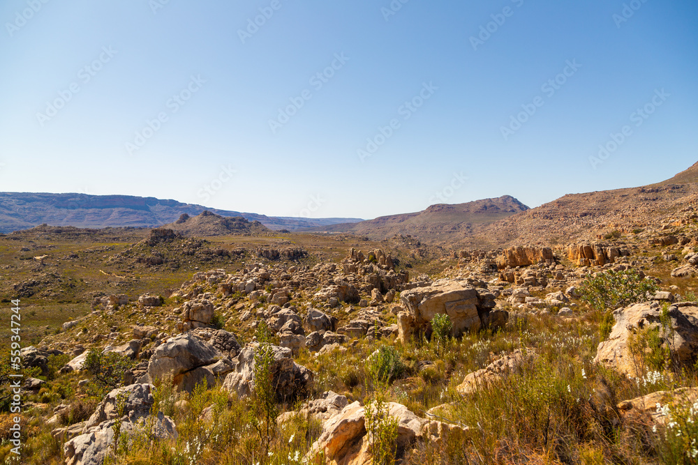 Beautiful rocky landscape in the Cederberg on a sunny day, blue sky, green shrubs, Western Cape, South Africa