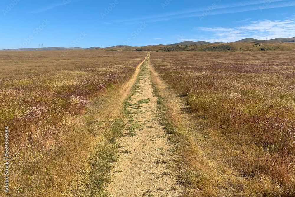 Rural Road in Carrizo Plain National Monument, San Luis Obispo County