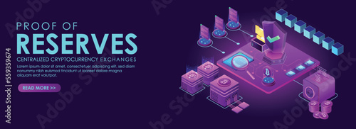 3d isometric vector digital reserves