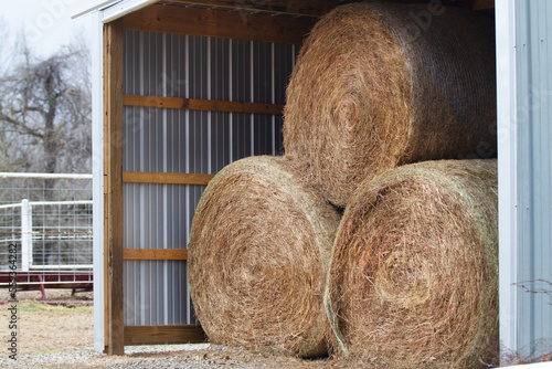 Hay stored in a building on a farm for agriculture, animal livestock feed, ranch or farm photo