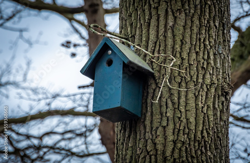Blue birdhouse on a tree in the forest