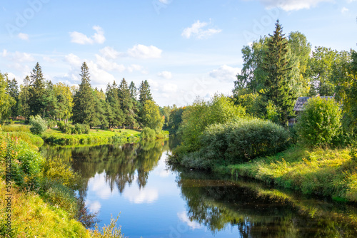 beautiful forest river with trees on the shore