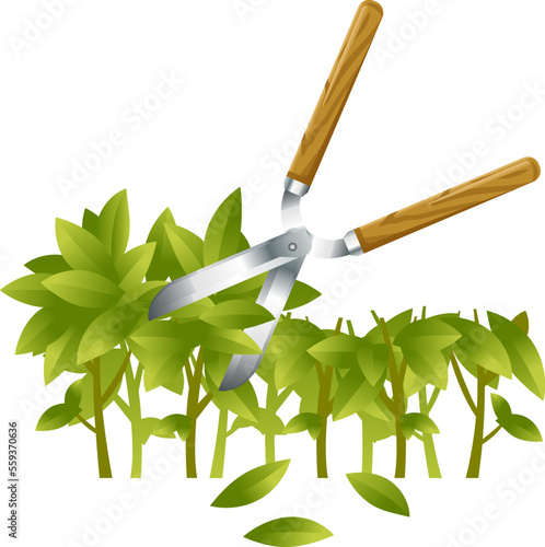 Garden shears trimming green branch of bushes, gardening tool equipment, spring work, isolated