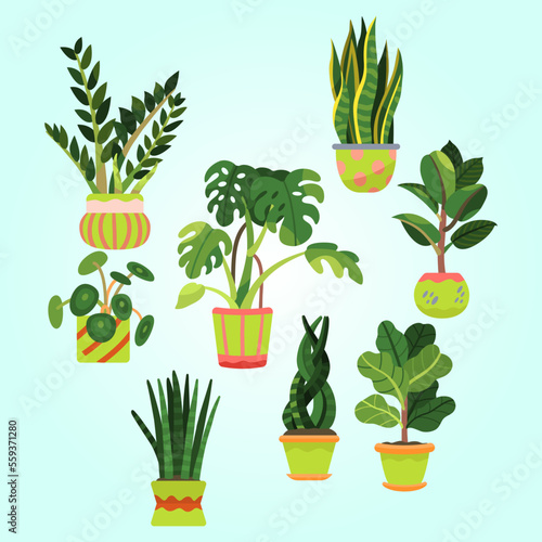 flower illustration pot plant green vector