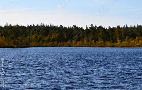 Landscape in Autumn at Lake Grundloser See, Walsrode, Lower Saxony