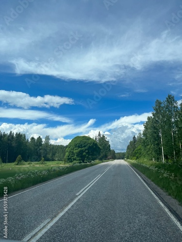 Empty road at the green landscape © Oksana