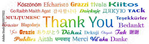 Danke Vektor in weltweiten Sprachen. Kalligrafischer Gruß in sechs Regenbogenfarben. Weißer Hintergrund
Sprachen der Europäischen Union, Ukrainisch ,chinesisch, japanisch, koreanisch, Hindi, arabisch.