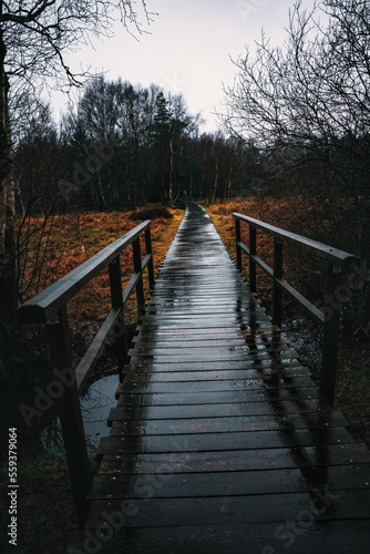 Moor, Moorweg, Weg, Bohlenweg, Schwarzes Moor, nass, Regen, Moor © aBSicht