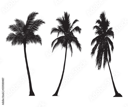 Vector set of tropical palm and tree silhouettes