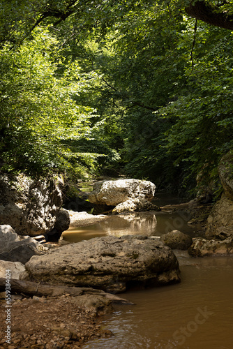 Summer landscape in sunny forest with green branches of trees and fresh mountain creek, shore with boulders in sunbeams and shadow in sunny day, vertical. Hiking, rest in wildness nature, landscape.
