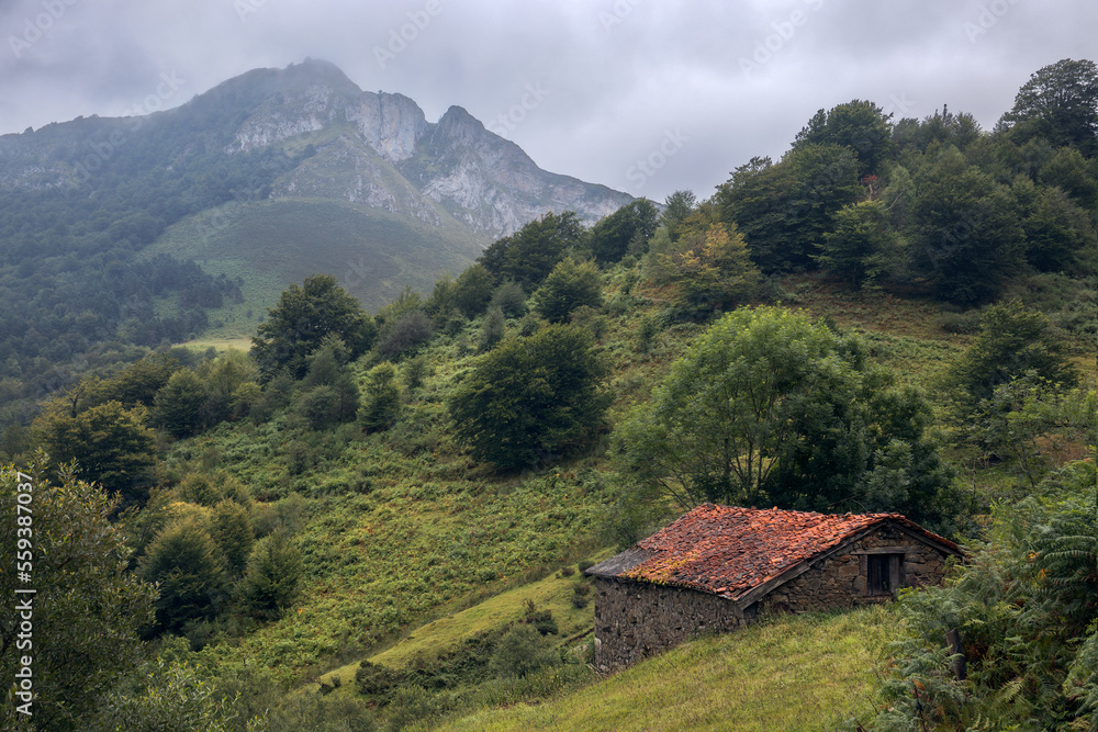 Beautiful Countryside Landscape at Picos devEuropa, Asturias, Spain