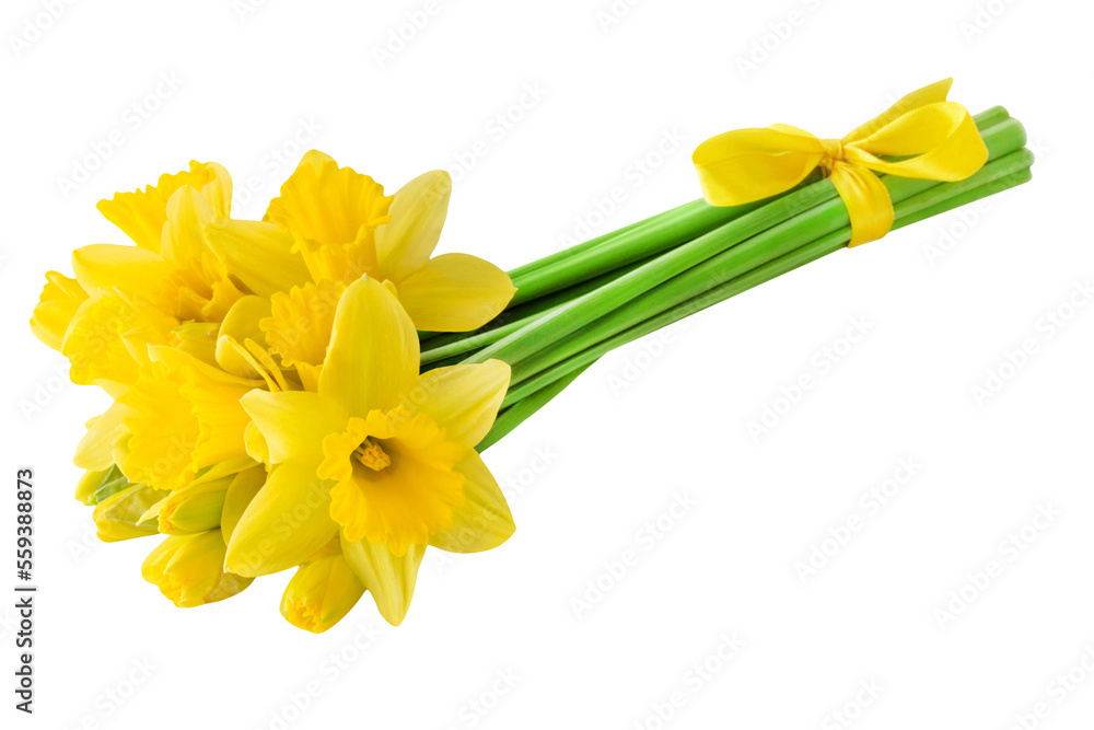Blumenstrauss mit Narzissen und gelber Schleife  Hintergrund transparent PNG cut out - obrazy, fototapety, plakaty 