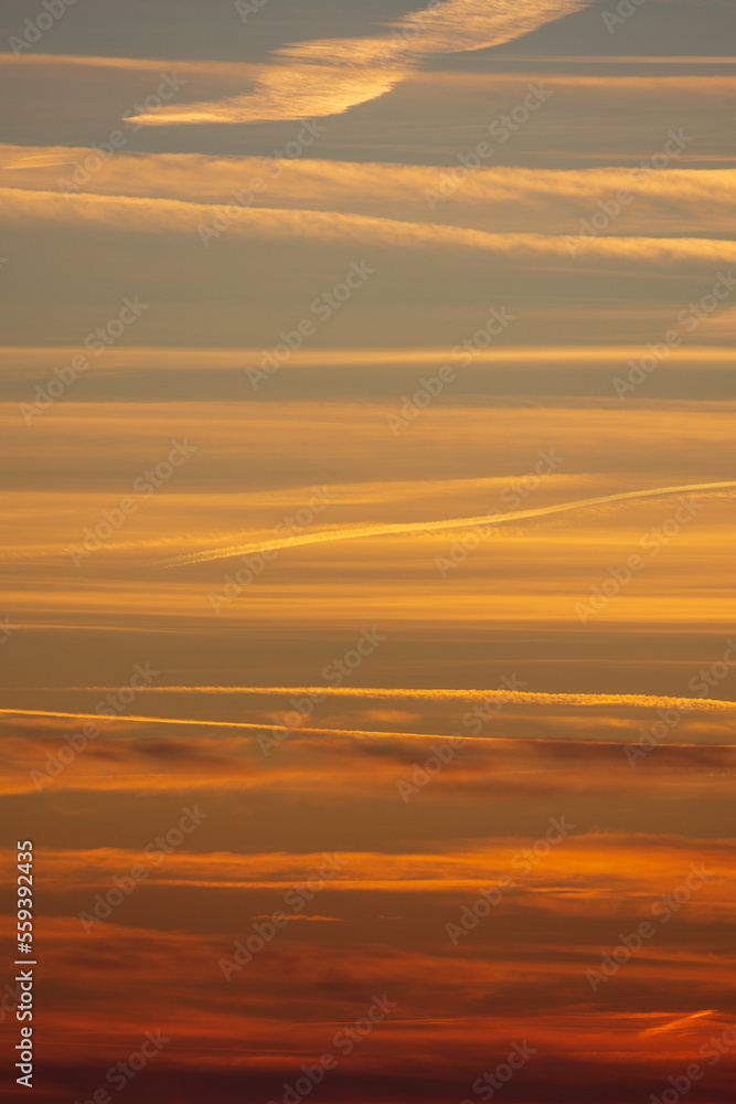Blue orange sunset on horizon in portrait format Blue orange sunset on horizon in portrait format